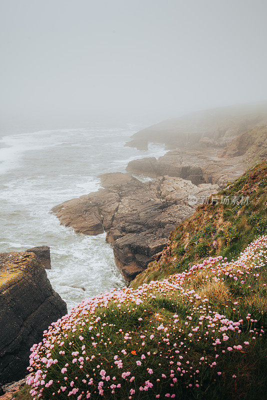 Dunmore Cliff Walk, Dunmore East, Waterford, Ireland